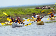 Kayak Tour