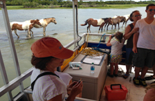 Nature Cruise Photo Gallery 1