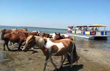 Nature Cruise Photo Gallery 2