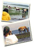 Photo Gallery